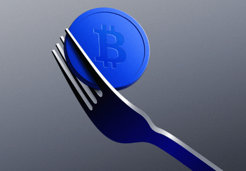 What Is a Crypto Fork?